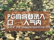 种植基地七