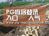 种植基地七(图1)