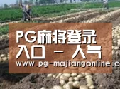 种植基地八