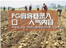 种植基地一