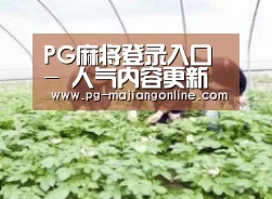 种植基地三
