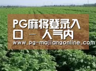 种植基地五