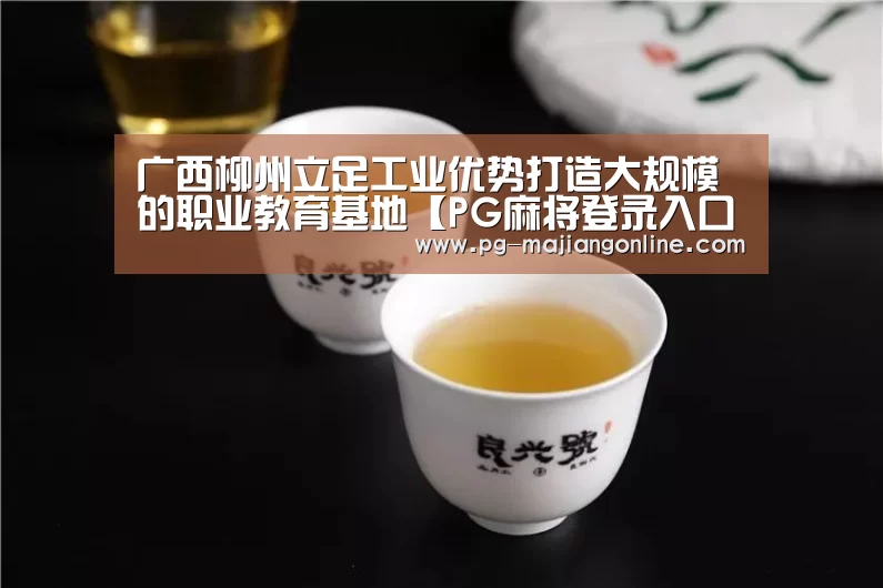 广西柳州立足工业优势打造大规模的职业教育基地【PG麻将登录入口】(图1) PG官方网站