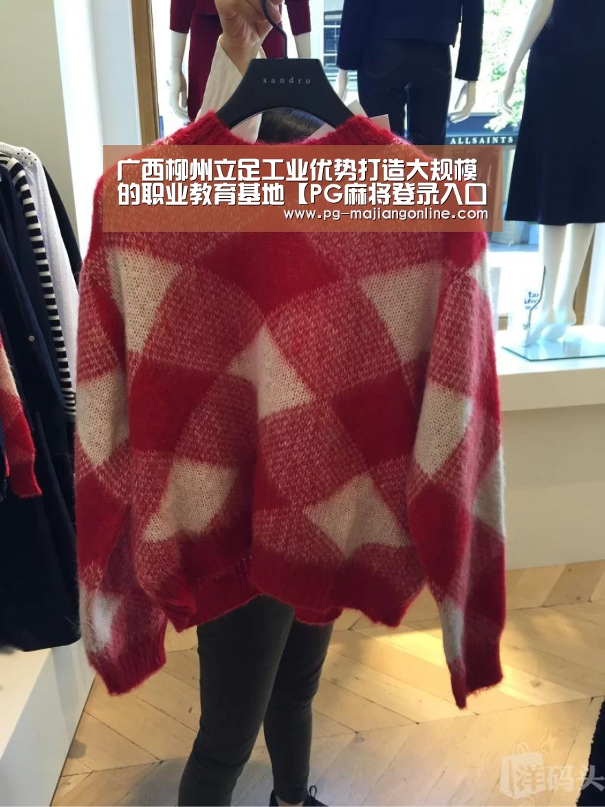 广西柳州立足工业优势打造大规模的职业教育基地【PG麻将登录入口】(图3) PG电子登录入口
