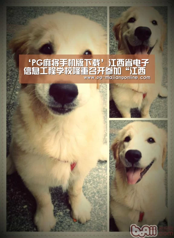 ‘PG麻将手机版下载’江西省电子信息工程学校隆重召开参加“江西省第九届中职学校技能大赛”师生动员大会(图3) PG麻将手机版下载