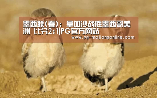 墨西联(春): 拿加沙战胜墨西哥美洲 比分2:1|PG官方网站(图2) PG麻将手机版下载