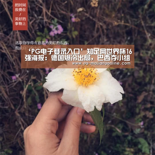 PG官方网站