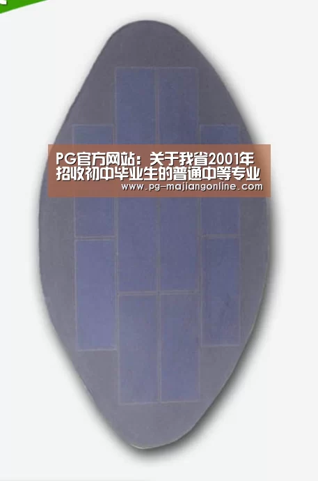 PG麻将登录入口