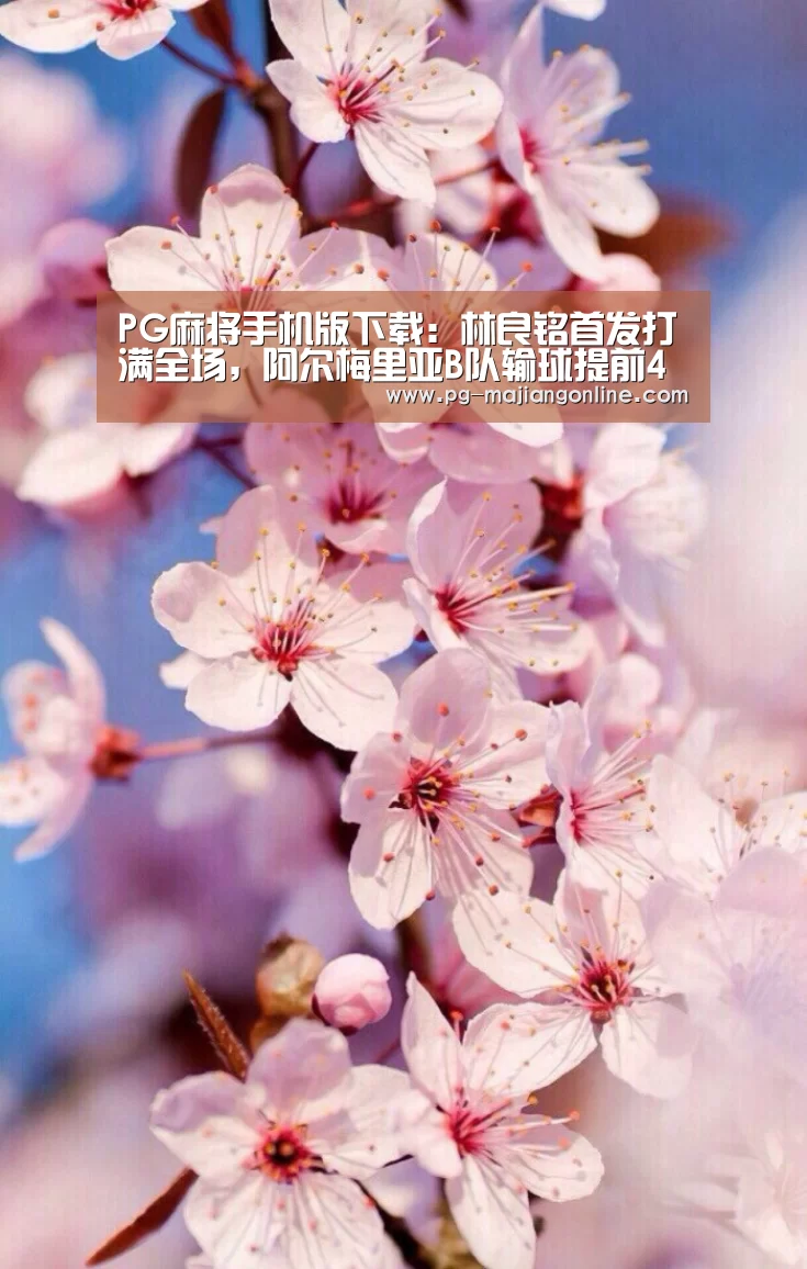 PG麻将手机版下载:林良铭首发打满全场,阿尔梅里亚B队输球提前4轮降级(图2) PG麻将手机版下载