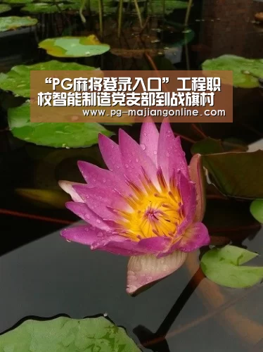 “PG麻将登录入口”工程职校智能制造党支部到战旗村参观学习(图4) PG官方网站