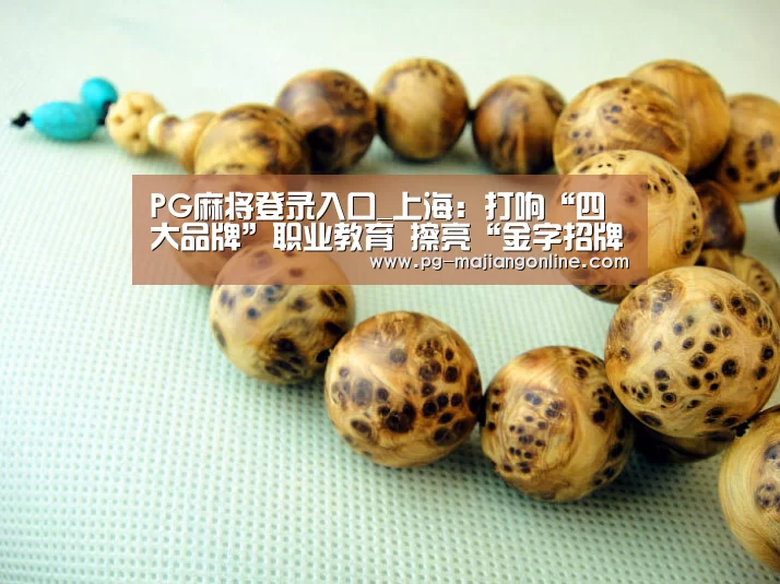 PG麻将登录入口