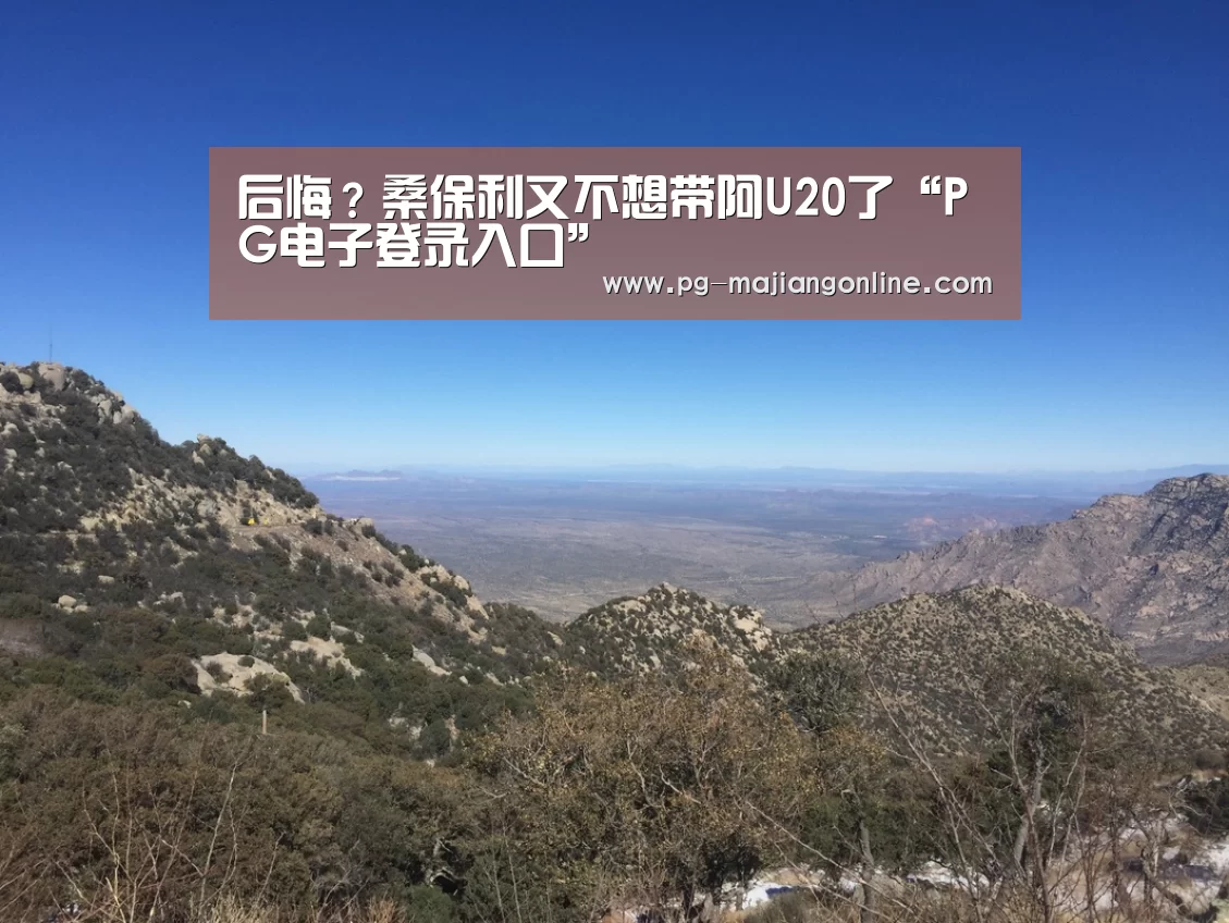 PG电子登录入口